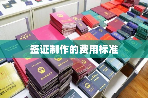 武清签证制作的费用标准