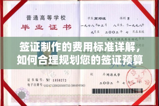 赵县签证制作的费用标准详解，如何合理规划您的签证预算